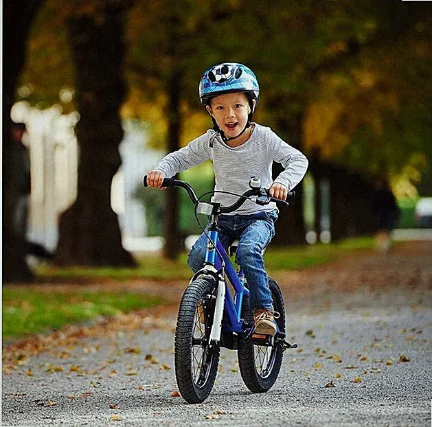 Kids Blue Bike Boys Girls Freestyle Outdoor Bicycle 14 inch With Training Wheels