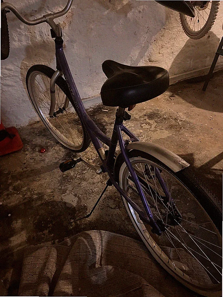 RoyalBaby Beach Cruiser