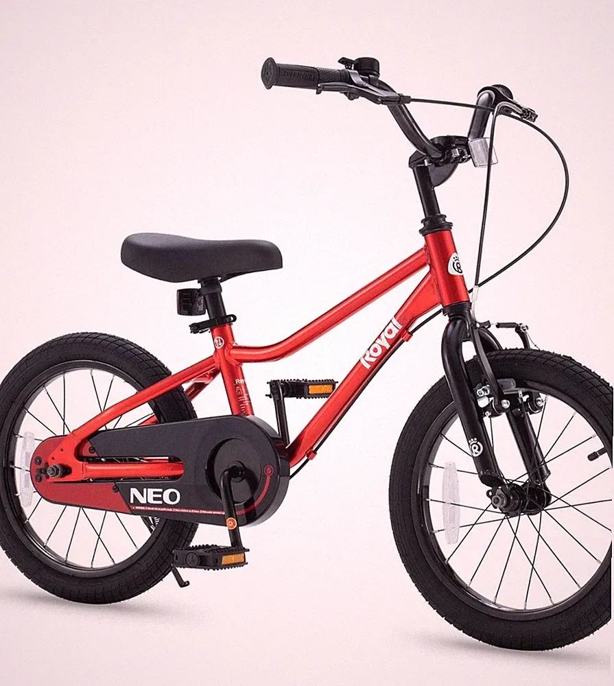 Royalbaby Aluminum Kids Bike 18 Inch Wheel Lightweight Bicycle