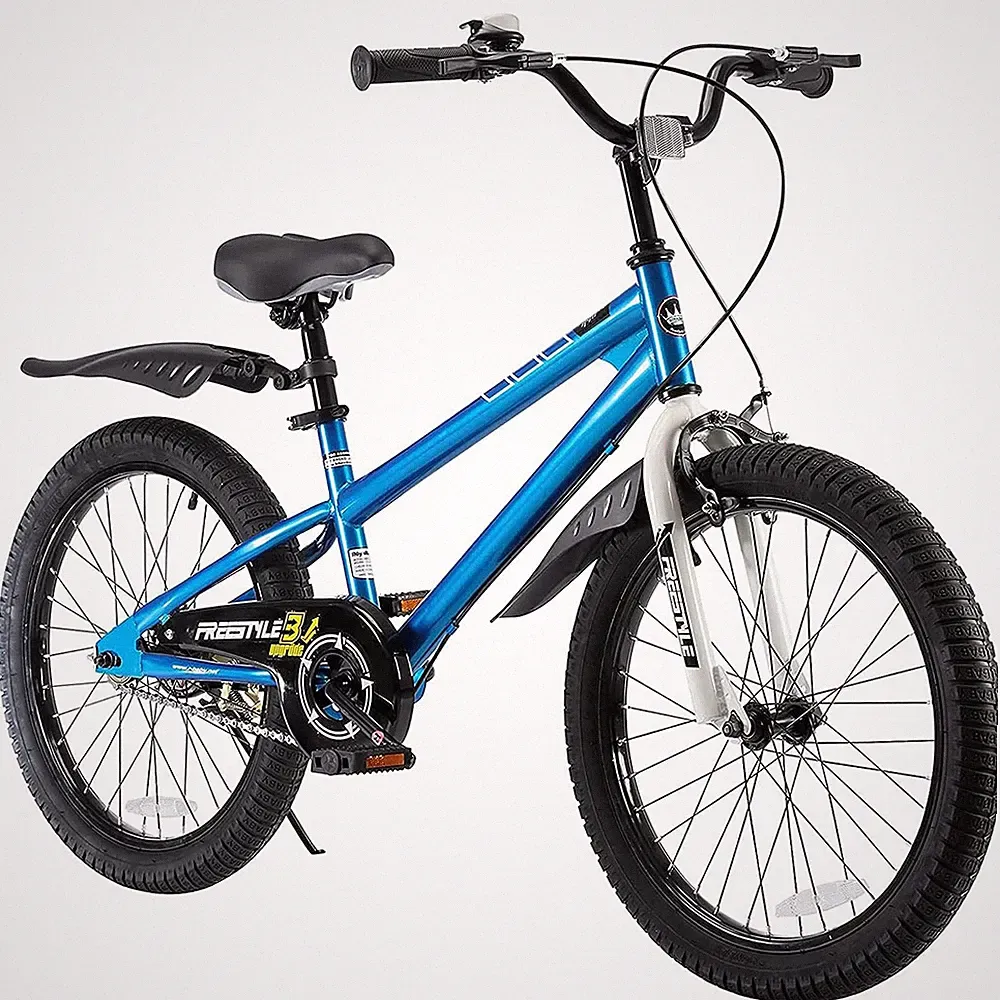 RoyalBaby Freestyle 20 Inch Kids Bicycle with Kickstand and Water Bottle, Blue