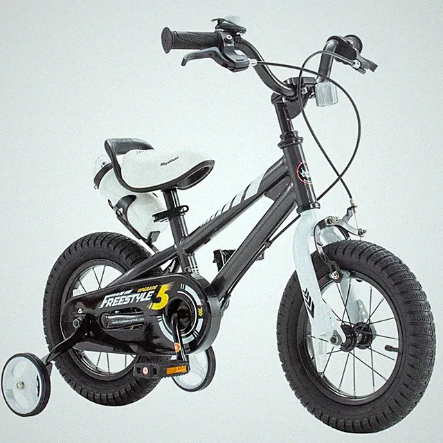 RoyalBaby Freestyle Outdoor Kid's Bicycle with Training Wheels, 16 Inch, Black