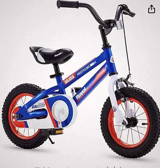 Royalbaby Kids Bike Toddlers 12 Inch
