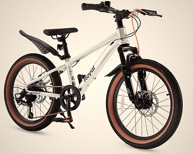 RoyalBaby KingPlus 20" 7-Speed Kids Bike NEW Assembled