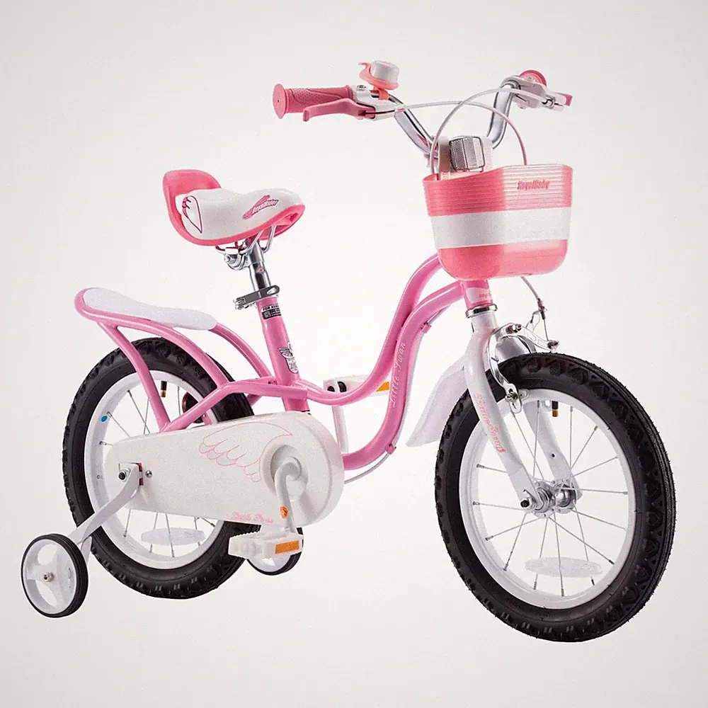 RoyalBaby Fat Tire Bike