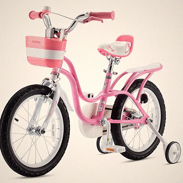 RoyalBaby Princess Girl Bicycle 16" with Training Wheels & Kickstand, Swan/Pink