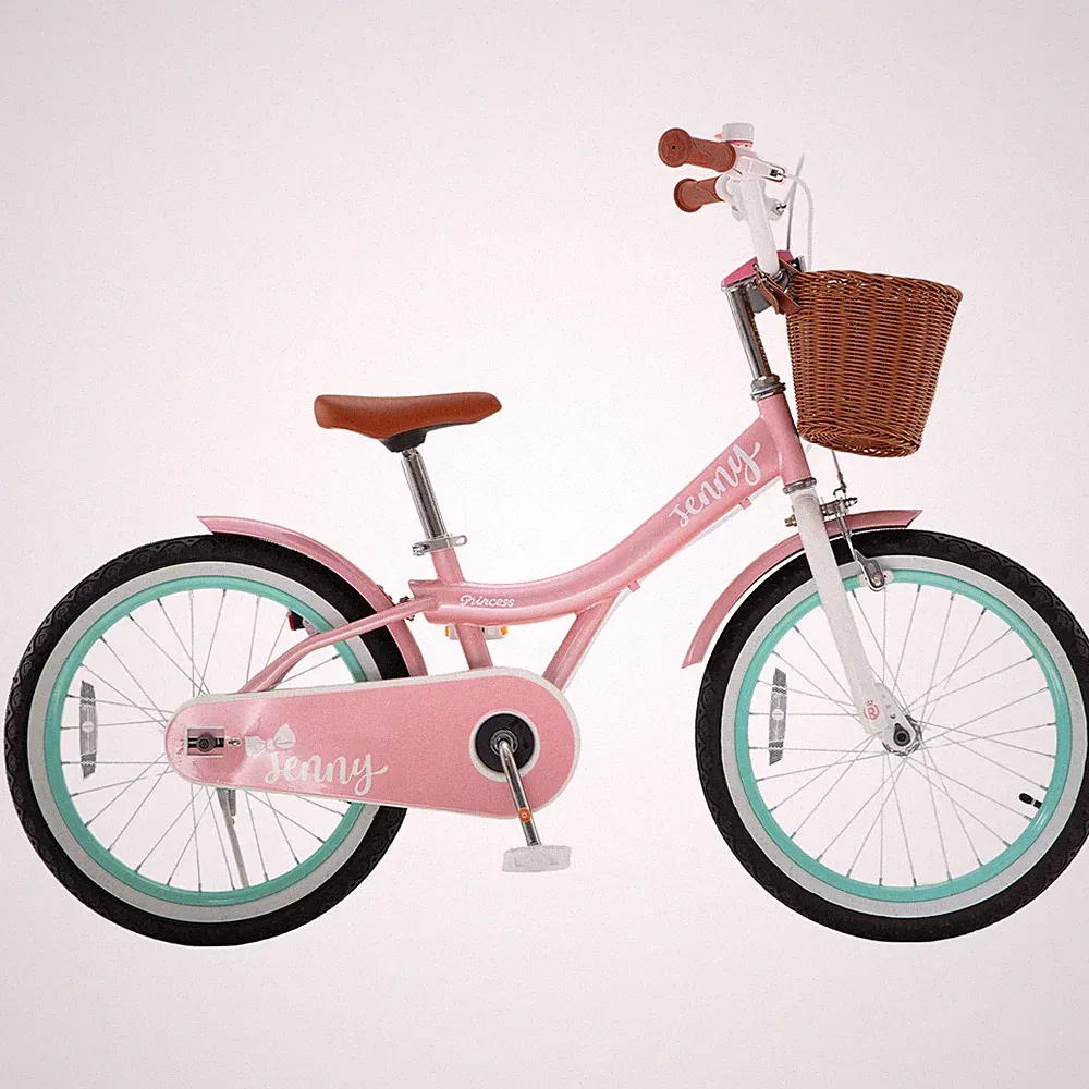 RoyalBaby Princess Girl Kid Outdoor Bicycle 18" with Kickstand, Jenny/Pink-Mint