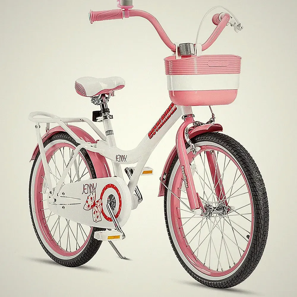 RoyalBaby Princess Girl Kid Outdoor Bicycle 20 Inch with Kickstand, Pink EL