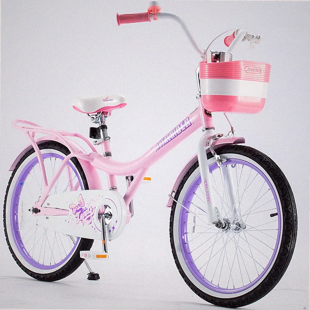 RoyalBaby Princess Girl Kid Outdoor Bicycle 20" with Kickstand, Jenny Light Pink