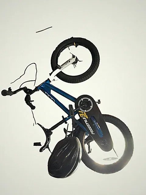 RoyalBaby RB14B-6B Kids Freestyle Bike
