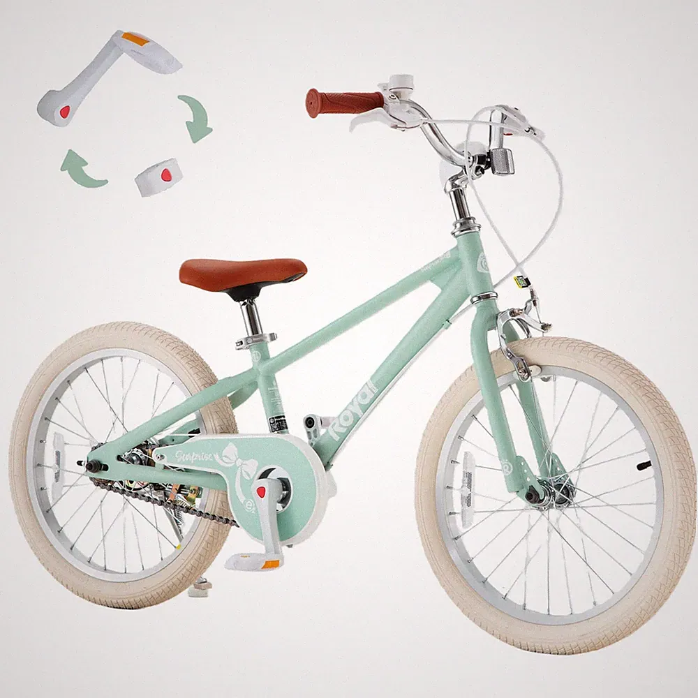 RoyalBaby RB18-30G3H EZ Kids Bike 18 Inch Convertible Balance to Pedal Bicycle