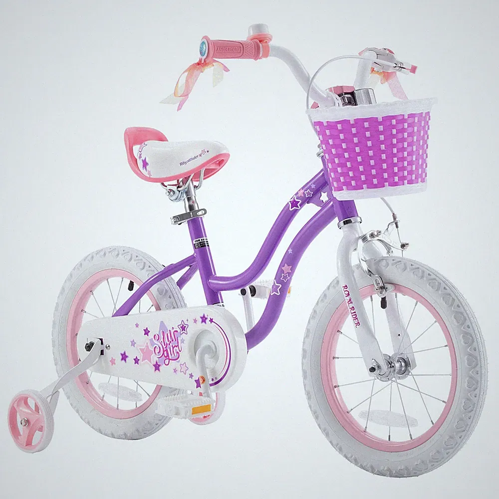 RoyalBaby Gravel Bike