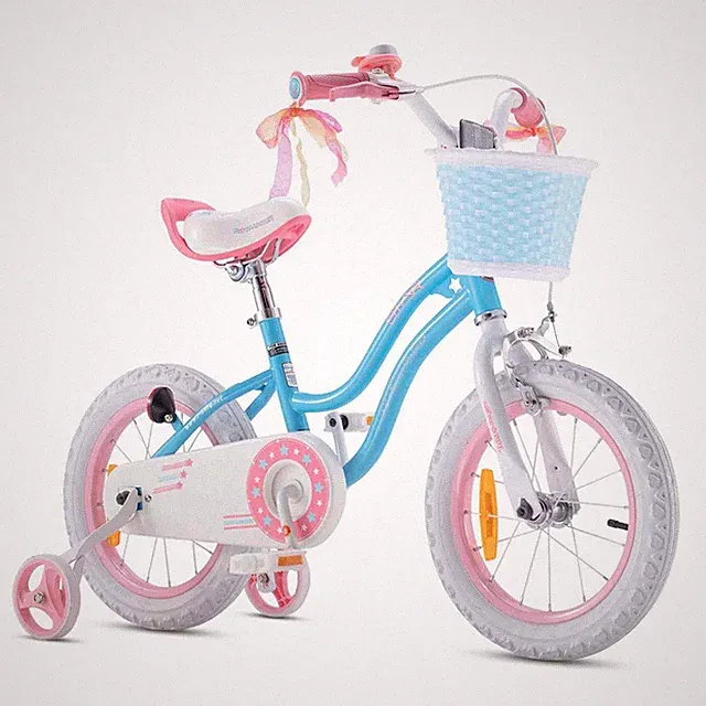 RoyalBaby Stargirl Children's Outdoor Bicycle 14 Inch with Training Wheels, Blue